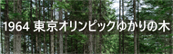 １９６４東京オリンピックゆかりの木（遠軽町　北海道家庭学校展示林）